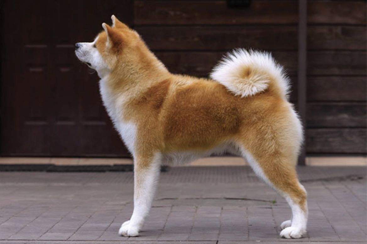 The Gossip Column: December 9, 2022